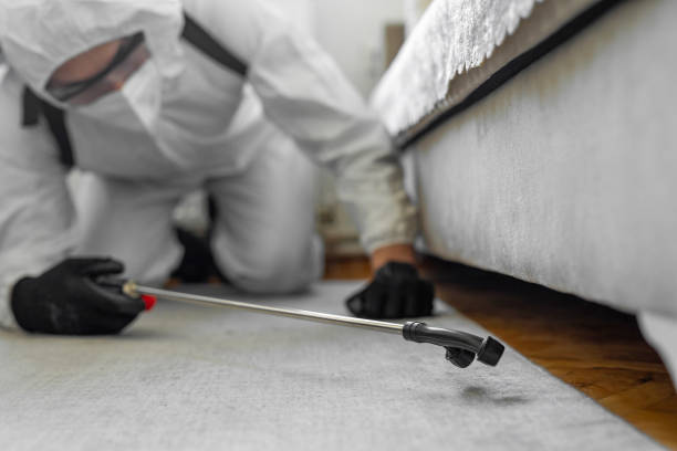 Professional Bed Bug Control technician working in West Sacramento, CA