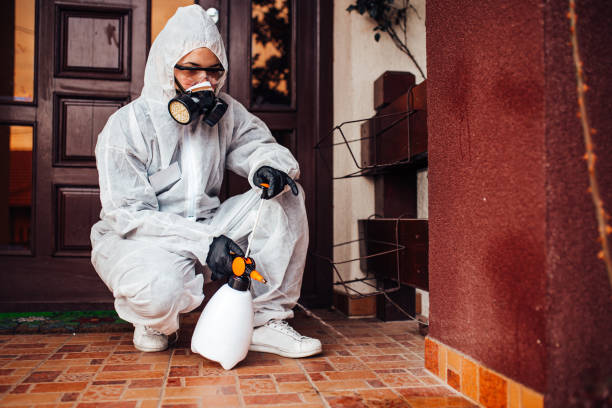 Reliable Bed Bug Control contractor in West Sacramento, CA by Nex Pest Control