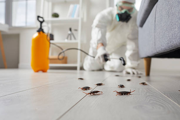Trusted Cockroach Control service in West Sacramento, CA - Nex Pest Control